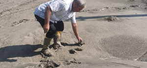 Erzincan'daki taşkında balçığa saplanan arı kuşları kurtarıldı