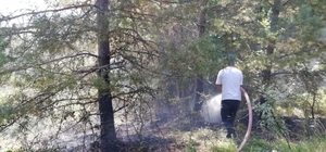 Pınarbaşı ilçesinde çıkan orman yangını söndürüldü