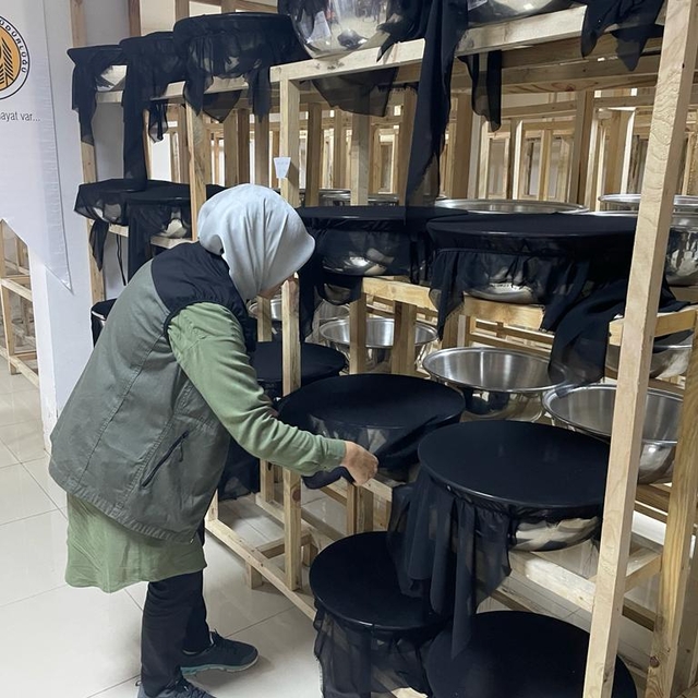 Giresun ladin ormanlarında biyolojik mücadele devam ediyor