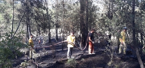 Orhaneli'de çıkan orman yangını söndürüldü