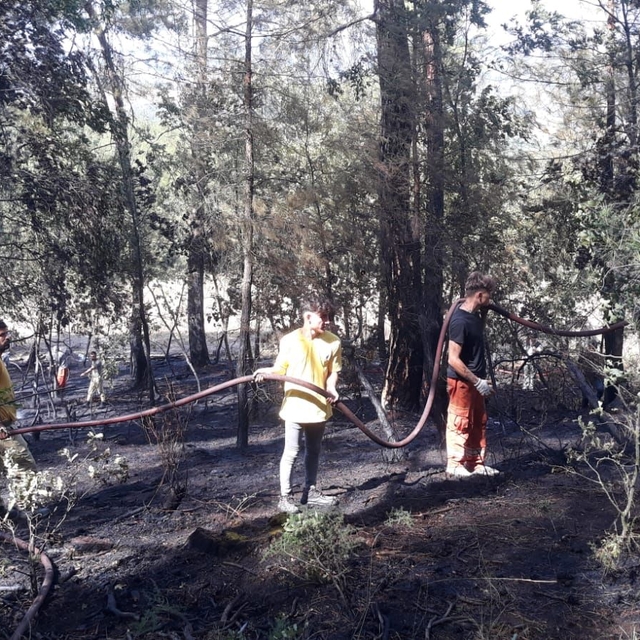 Orhaneli'de çıkan orman yangını söndürüldü