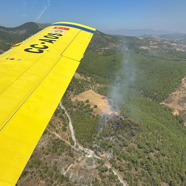 GÜNCELLEME - Muğla'da çıkan orman yangını söndürüldü