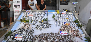 Ordu'da balıklar tezgahtaki yerini aldı