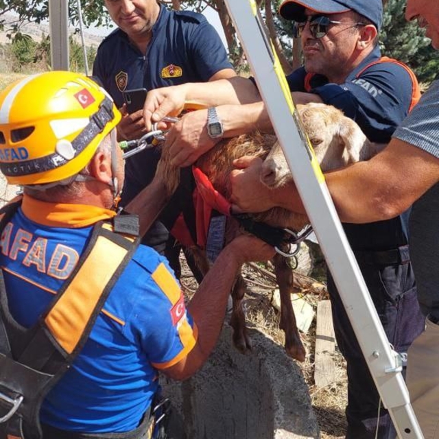 Kırıkkale'de su kuyusuna düşen keçiyi AFAD ve itfaiye kurtardı