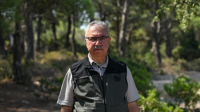 İzmir'de 4 yıl önce yanan ormanlık alana dikilen fidanlar büyüyor