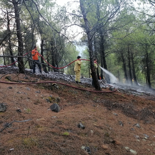 Çorum'da ormanlık alanda çıkan örtü yangını söndürüldü