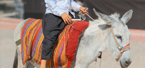 Antalya'da "Geleneksel İbradı Üzüm Festivali" başladı