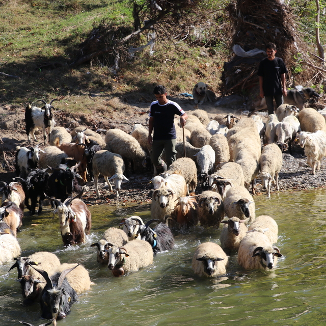 Köy hayatını tercih eden üniversite mezunu gencin hayali çiftlik kurmak