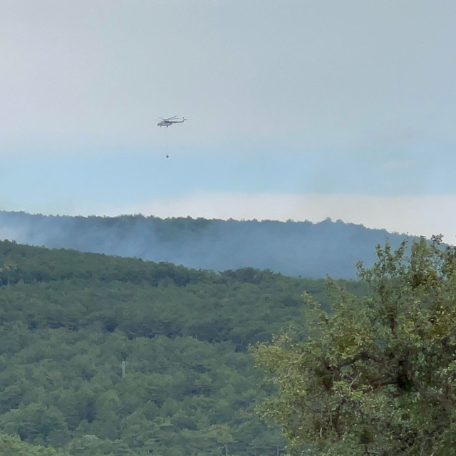 Kütahya'da çıkan orman yangınına müdahale ediliyor