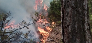 GÜNCELLEME - Kütahya'daki orman yangını kontrol altına alındı