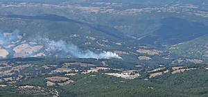 Balıkesir'deki orman yangını kontrol altına alındı