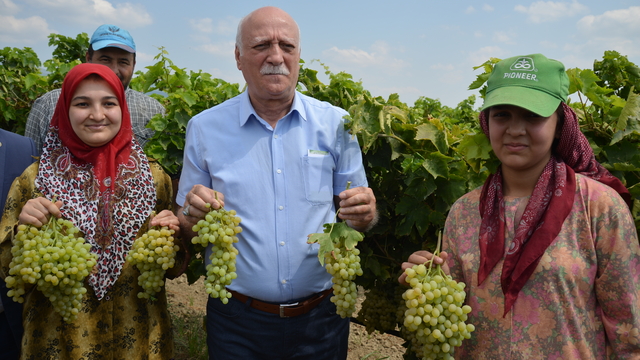 Türkiye Ziraat Odaları Birliği Başkanı Bayraktar, Manisa'da üzüm hasadına katıldı