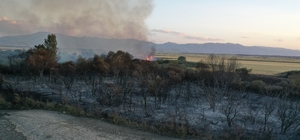 Ağrı'da ağaçlık alanda çıkan yangına müdahale ediliyor