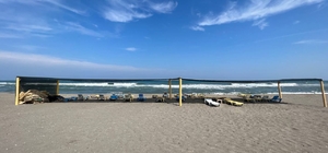 Sakarya'da dalga ve rip akıntısı nedeniyle denize girmek yasaklandı