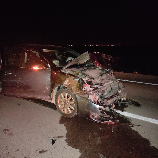 Aksaray'da otomobilin çarptığı sürüde 15 koyun telef oldu