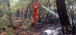Bursa'da yıldırım düşmesi sonucu çıkan orman yangını söndürüldü