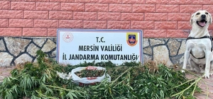 Mersin'de uyuşturucu operasyonunda 2 zanlı yakalandı