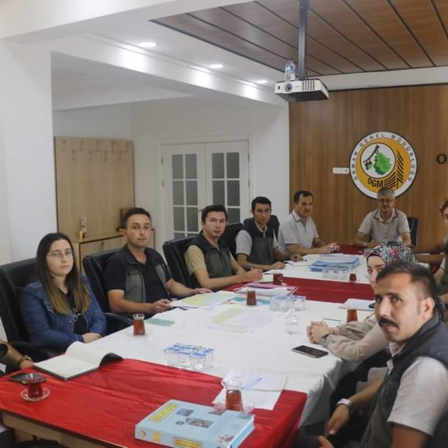 Göynük'te yanan ormanlık alanların ağaçlandırılması için çalışma yürütülüyo...