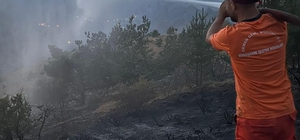 Gümüşhane'de iki örtü yangınında 5,5 hektarlık alan zarar gördü