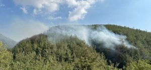 Osmaniye'de orman yangını çıktı