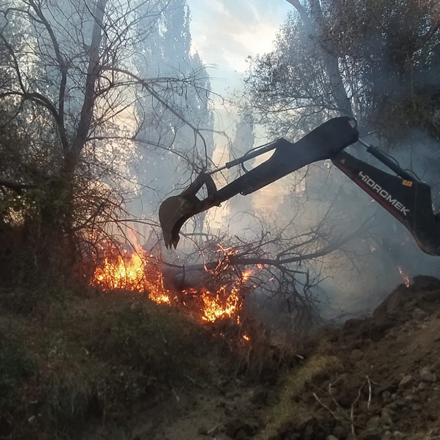 Çorum'da ağaçlık alana sıçrayan anız yangını 100 dönüm alana zarar verdi
