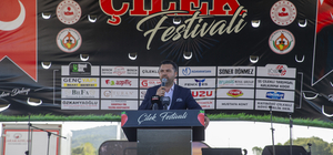 Sakarya'da Çilek Festivali düzenlendi