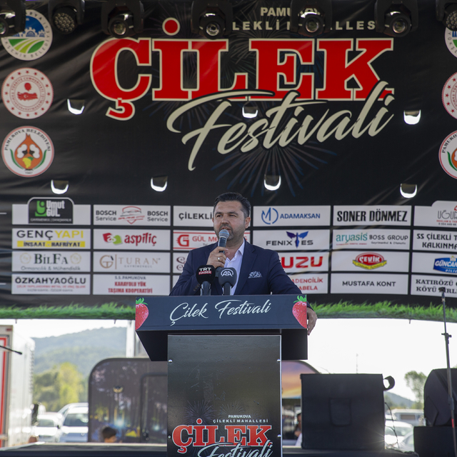 Sakarya'da Çilek Festivali düzenlendi