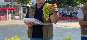 Sarıgöl 15. Sultaniye Üzüm Festivali sona erdi