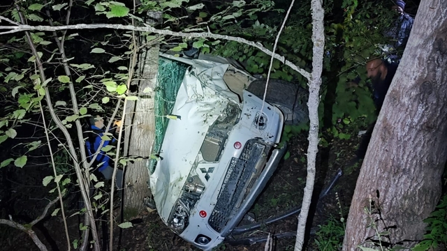 Artvin'de uçuruma yuvarlanan otomobildeki 1 kişi öldü, 2 kişi yaralandı