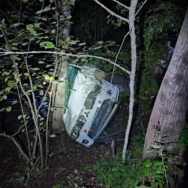 Artvin'de uçuruma yuvarlanan otomobildeki 1 kişi öldü, 2 kişi yaralandı