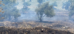 Köşk'te çıkan yangında 1 dönümlük bahçe zarar gördü
