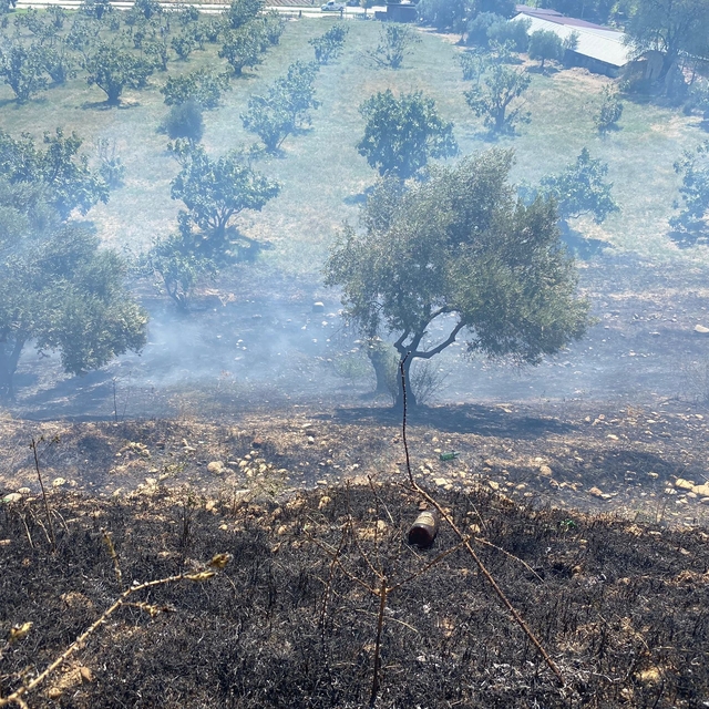 Köşk'te çıkan yangında 1 dönümlük bahçe zarar gördü