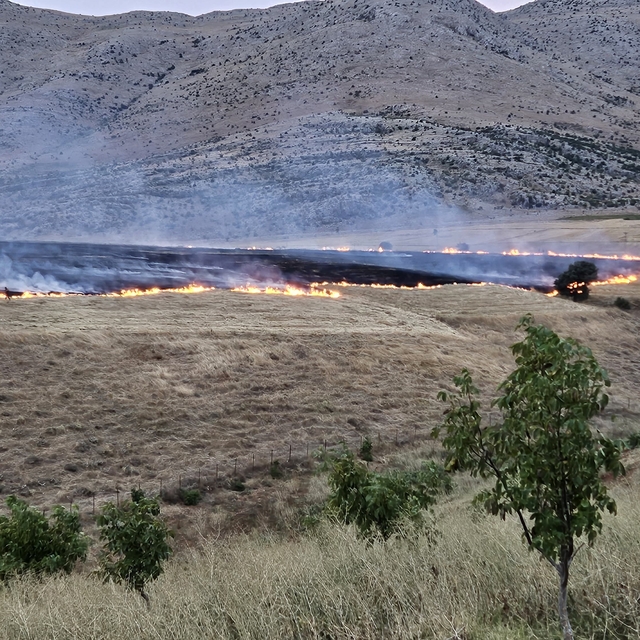 Adana'da çıkan anız yangını söndürüldü