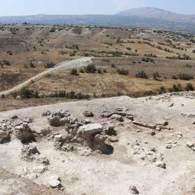 Denizli'deki arkeolojik kazıda yaklaşık 3500 yıllık üzüm çekirdeği kalıntıs...