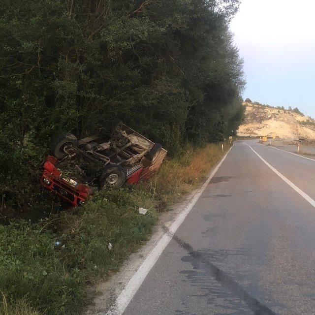 Kastamonu'da karacaya çarpmamak için manevra yapan kamyonet devrildi