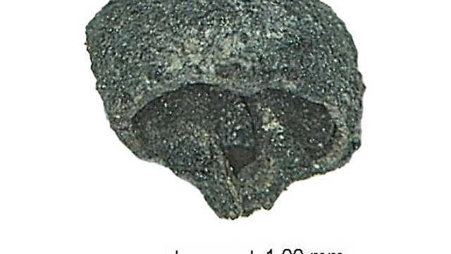 Galeri