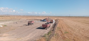 Manyas'ta ayçiçeği hasadı başladı