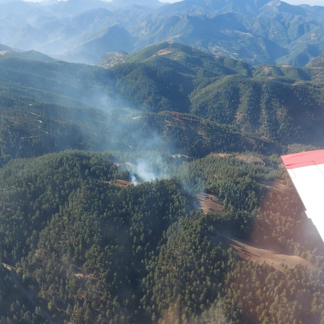 Adana'da çıkan orman yangını kontrol altına alındı
