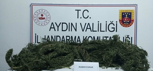 Aydın'da uyuşturucu ve kaçak tütün operasyonları