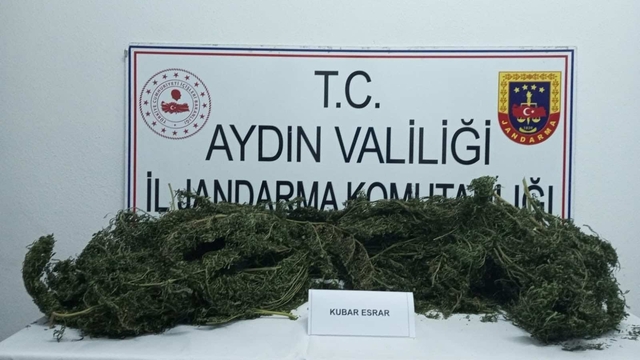 Aydın'da uyuşturucu ve kaçak tütün operasyonları
