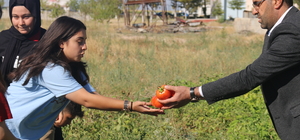 Aksaray'da lise öğrencileri ektikleri sebzelerin hasadını yaptı