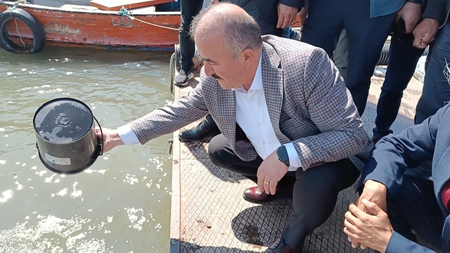 Tokat'ta Almus Baraj Gölü'ne 800 bin yavru sazan bırakıldı