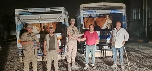 Siirt'te çaldığı büyükbaş hayvanları satmaya çalışan zanlı tutuklandı