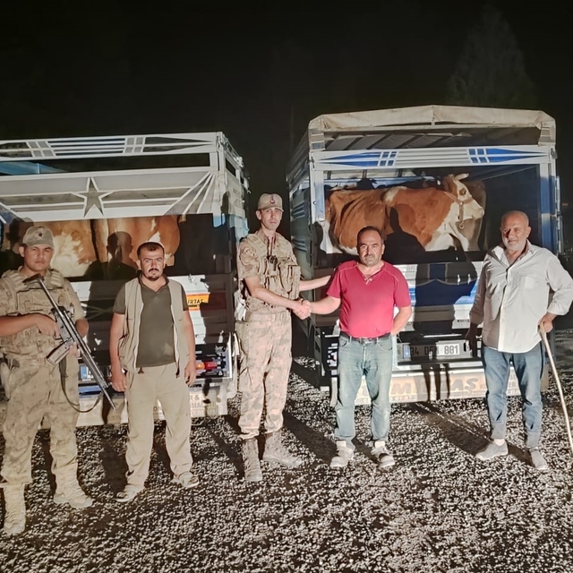 Siirt'te çaldığı büyükbaş hayvanları satmaya çalışan zanlı tutuklandı