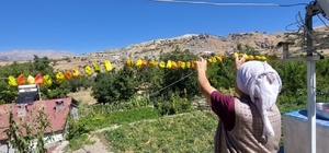 Tunceli'de vatandaşlar kuruttukları sebzelerden kışlık yiyecek hazırlıyor