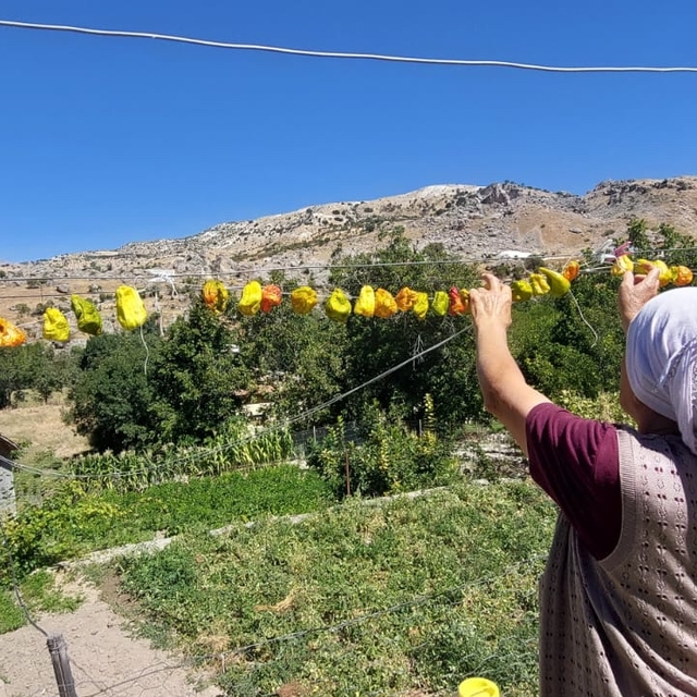 Tunceli'de vatandaşlar kuruttukları sebzelerden kışlık yiyecek hazırlıyor