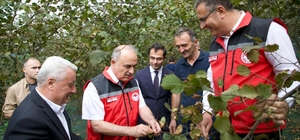 Ordu Valisi Erol, fındık üreticisini ziyaret etti