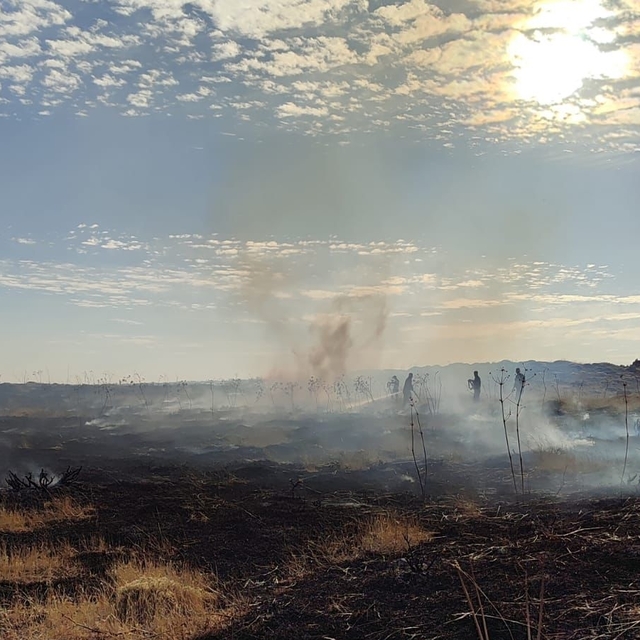 Bingöl'de otluk alanda çıkan yangın söndürüldü