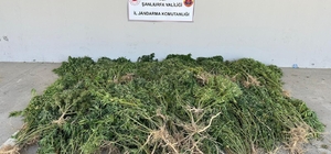 Şanlıurfa'da uyuşturucu operasyonu