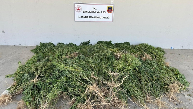 Şanlıurfa'da uyuşturucu operasyonu